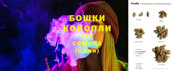 сатива Аркадак
