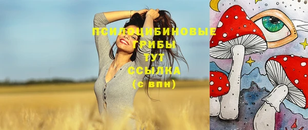 героин Новодвинск