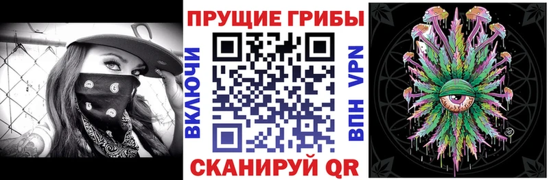 Псилоцибиновые грибы Psilocybe  Урюпинск 